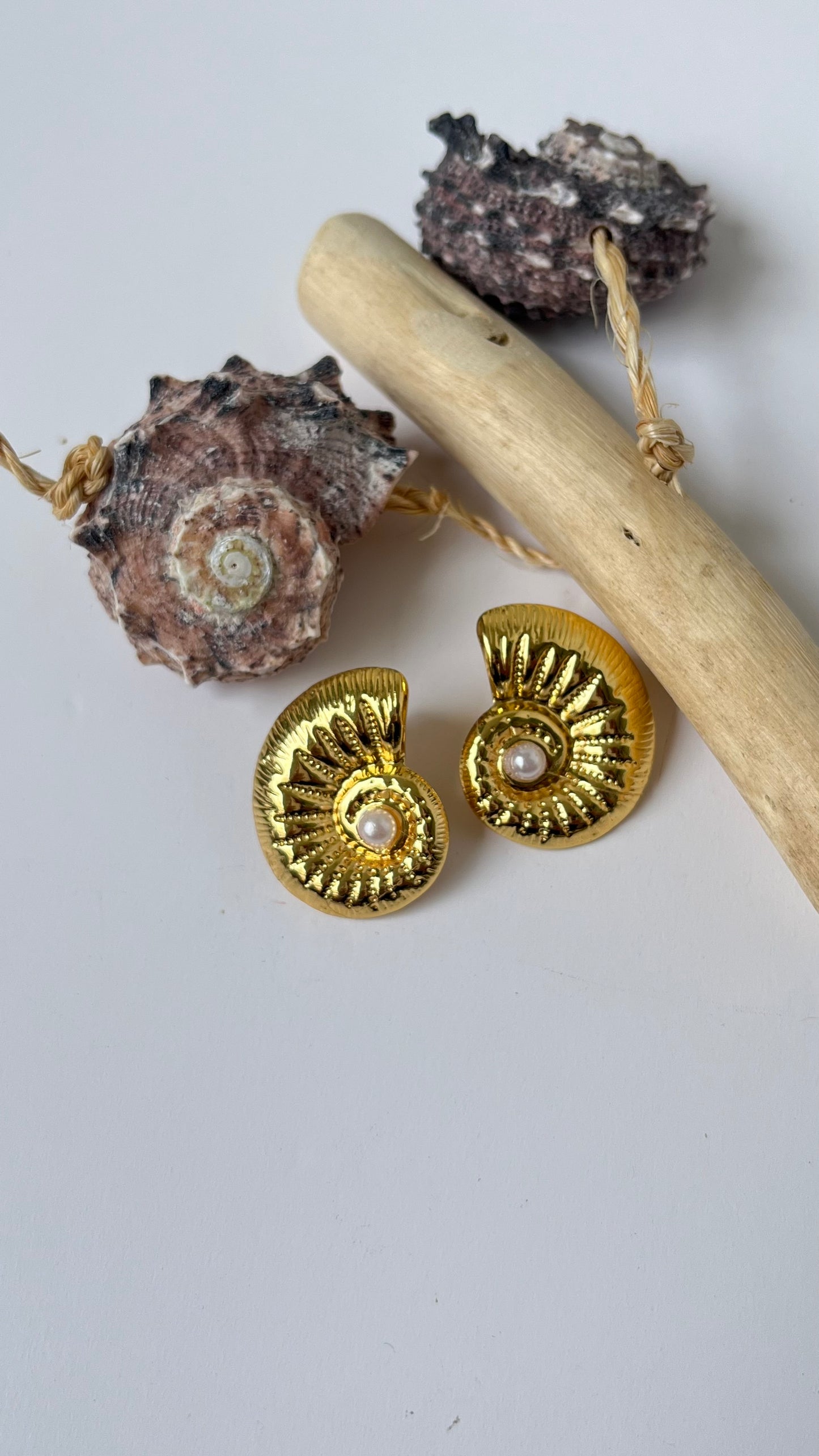 Echo Studs