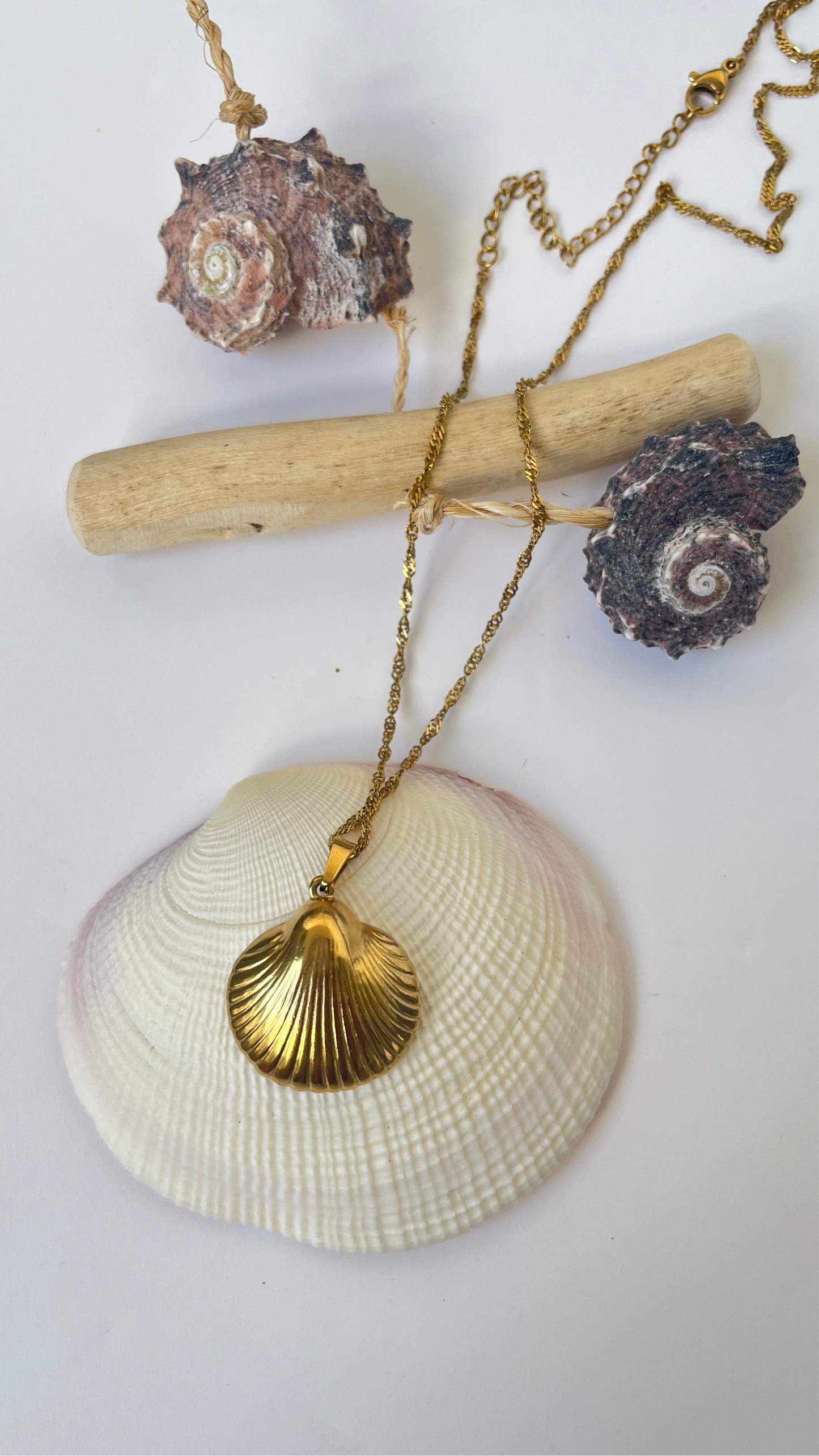 Isla Shell Necklace