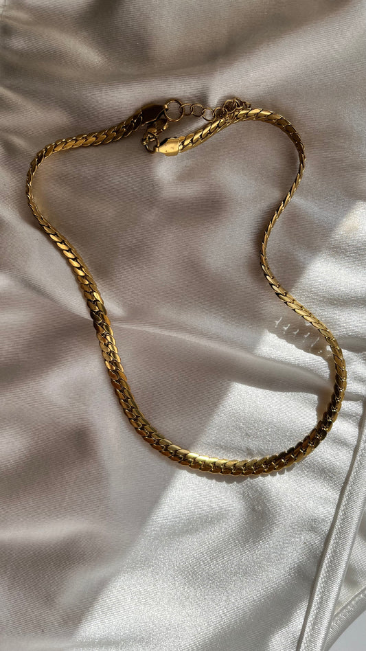 Musa Chain